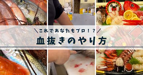 魚血|魚の血抜き：最高の味を引き出すための必須工程 